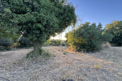 Spanohori Village Edge 02.jpg